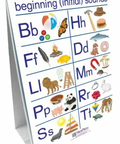NewPath Curriculum Mastery Phonemic Awareness Flip Chart Set