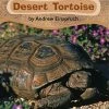 Making Connections Desert Tortoise Book, Grade 1, Pack Of 6 -Wordly Wise 3000 Shop l702000 ecommfullsize