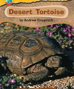 Making Connections Desert Tortoise Book, Grade 1, Pack Of 6