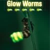 Making Connections Glow Worms Book, Grade 4, Pack Of 6 -Wordly Wise 3000 Shop l702027 ecommfullsize