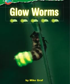 Making Connections Glow Worms Book, Grade 4, Pack Of 6